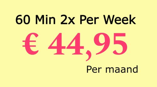 60min 2x per week 3 maanden abonnement